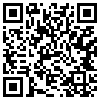 QR Code Handyversion