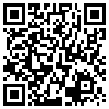 QR Code Handyversion