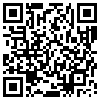 QR Code Handyversion