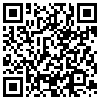 QR Code Handyversion