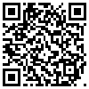 QR Code Handyversion