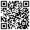 QR Code Handyversion