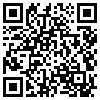 QR Code Handyversion