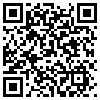 QR Code Handyversion