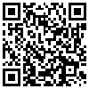 QR Code Handyversion