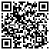 QR Code Handyversion