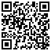 QR Code Handyversion