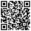 QR Code Handyversion