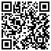 QR Code Handyversion