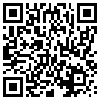 QR Code Handyversion