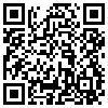 QR Code Handyversion