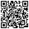 QR Code Handyversion