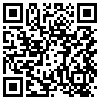 QR Code Handyversion