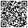 QR Code Handyversion