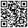 QR Code Handyversion