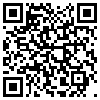 QR Code Handyversion