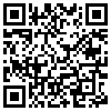 QR Code Handyversion