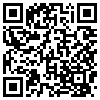 QR Code Handyversion