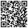 QR Code Handyversion