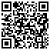 QR Code Handyversion