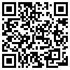 QR Code Handyversion