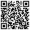 QR Code Handyversion