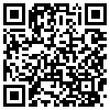 QR Code Handyversion