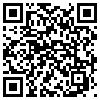 QR Code Handyversion