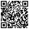 QR Code Handyversion