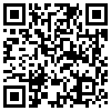 QR Code Handyversion