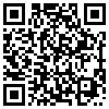 QR Code Handyversion