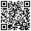 QR Code Handyversion