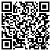 QR Code Handyversion