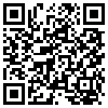 QR Code Handyversion