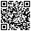 QR Code Handyversion