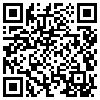 QR Code Handyversion