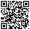 QR Code Handyversion