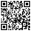 QR Code Handyversion