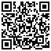 QR Code Handyversion