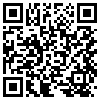 QR Code Handyversion