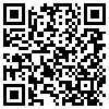 QR Code Handyversion