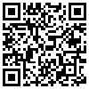 QR Code Handyversion