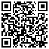 QR Code Handyversion