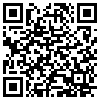 QR Code Handyversion