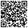 QR Code Handyversion