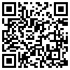 QR Code Handyversion