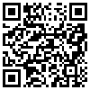 QR Code Handyversion