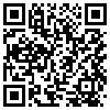 QR Code Handyversion