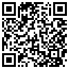 QR Code Handyversion