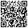 QR Code Handyversion